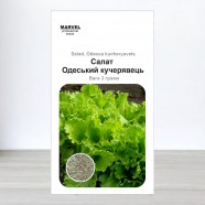 Насіння Салату " Одеський кучерявец (Україна), 3000-3200 насіння (3 г)